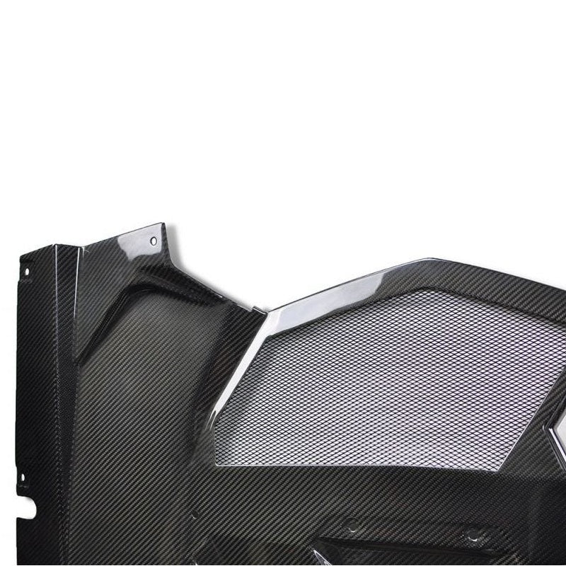 Lamborghini Aventador 2011 Engine Cover